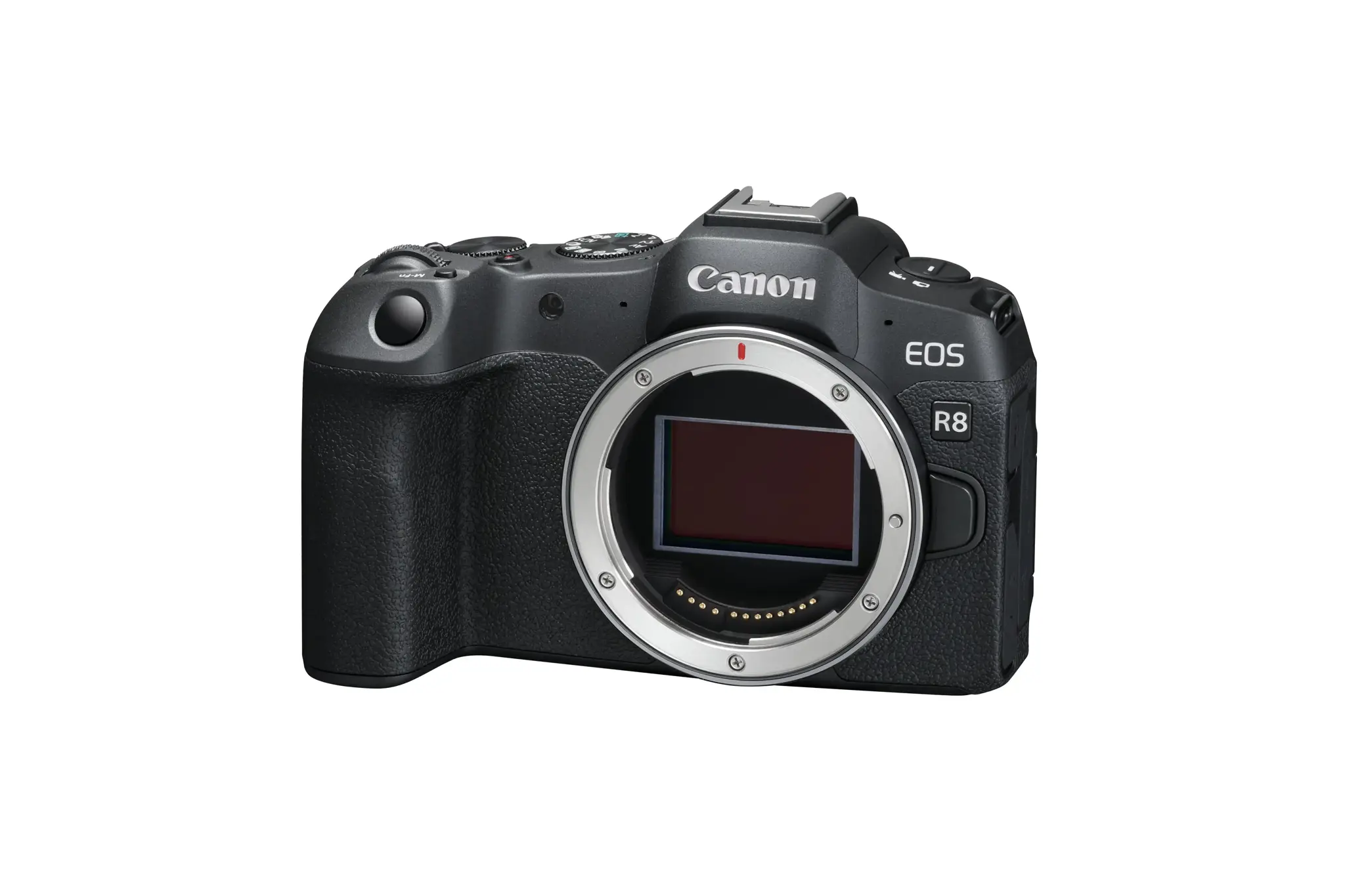 Canon EOS R8, 24.2 MP, 6000 x 4000 pixels, CMOS, 4K Ultra HD, Touchscreen, Black