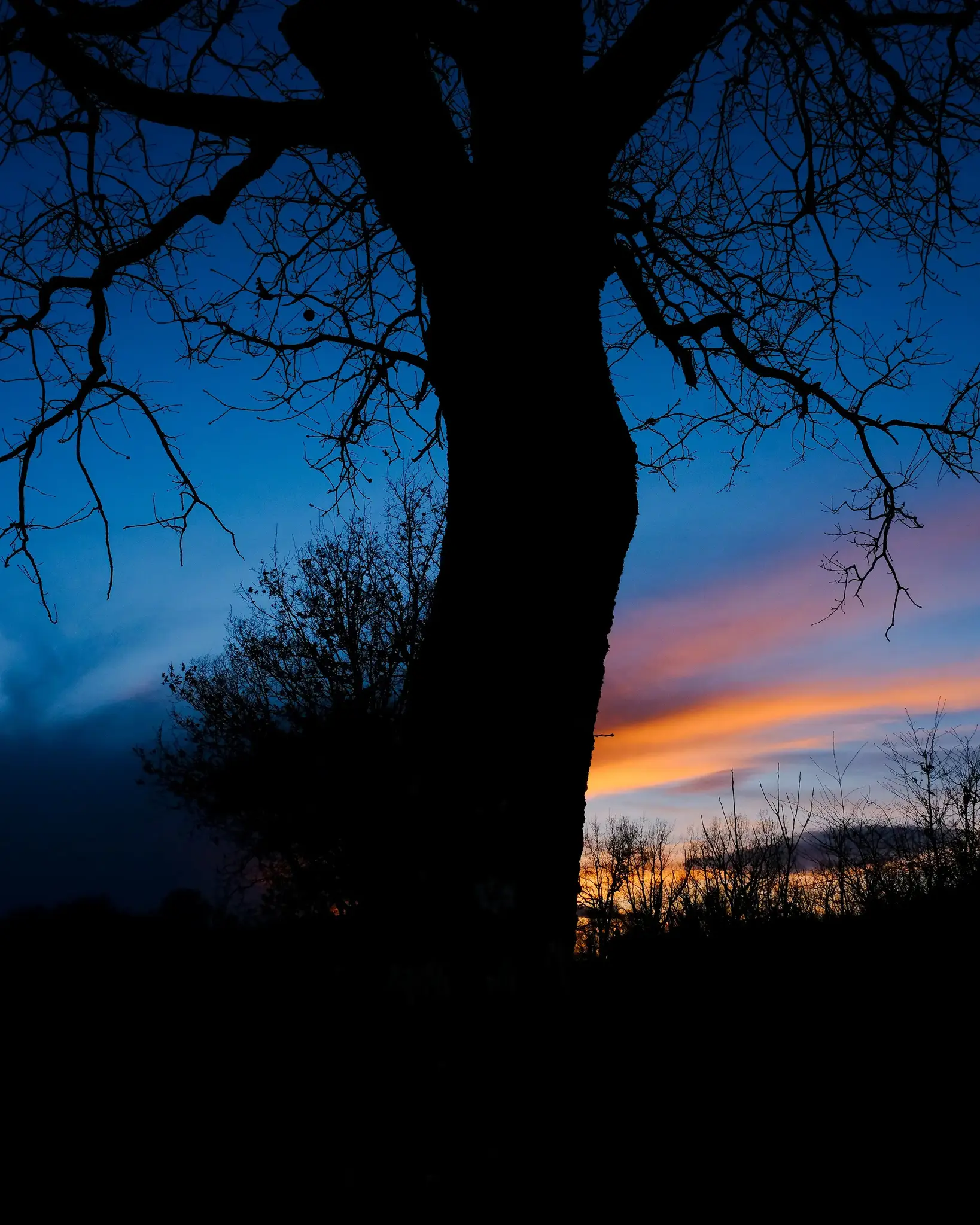 Fujifilm X-T50 body, silver