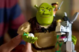 LEGO ICONS 72423 Shrek, Donkey and Puss in Boots