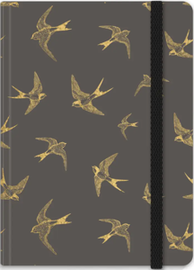 Ambar Goldbook
