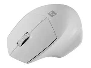 NATEC belaidė pelė Siskin 2 1600DPI Bluetooth 5.0 + 2.4Ghz balta