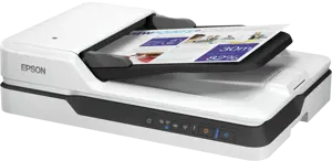 "Epson WorkForce DS-1660W", 210 x 297 mm, 1200 x 1200 DPI, 1200 x 1200 DPI, 30 bitų, 24 bitų, 10 bitų