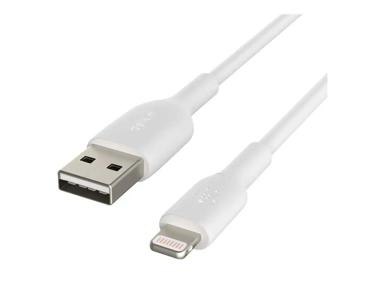 Belkin CAA001BT1MWH, 1 m, Lightning, USB A, vyriškas, vyriškas, baltas