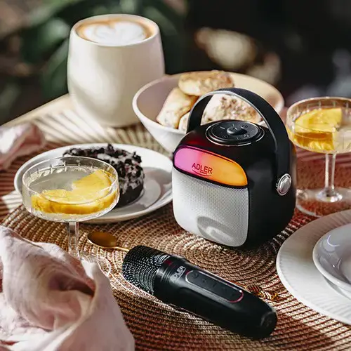 Karaoke speaker AD1199B