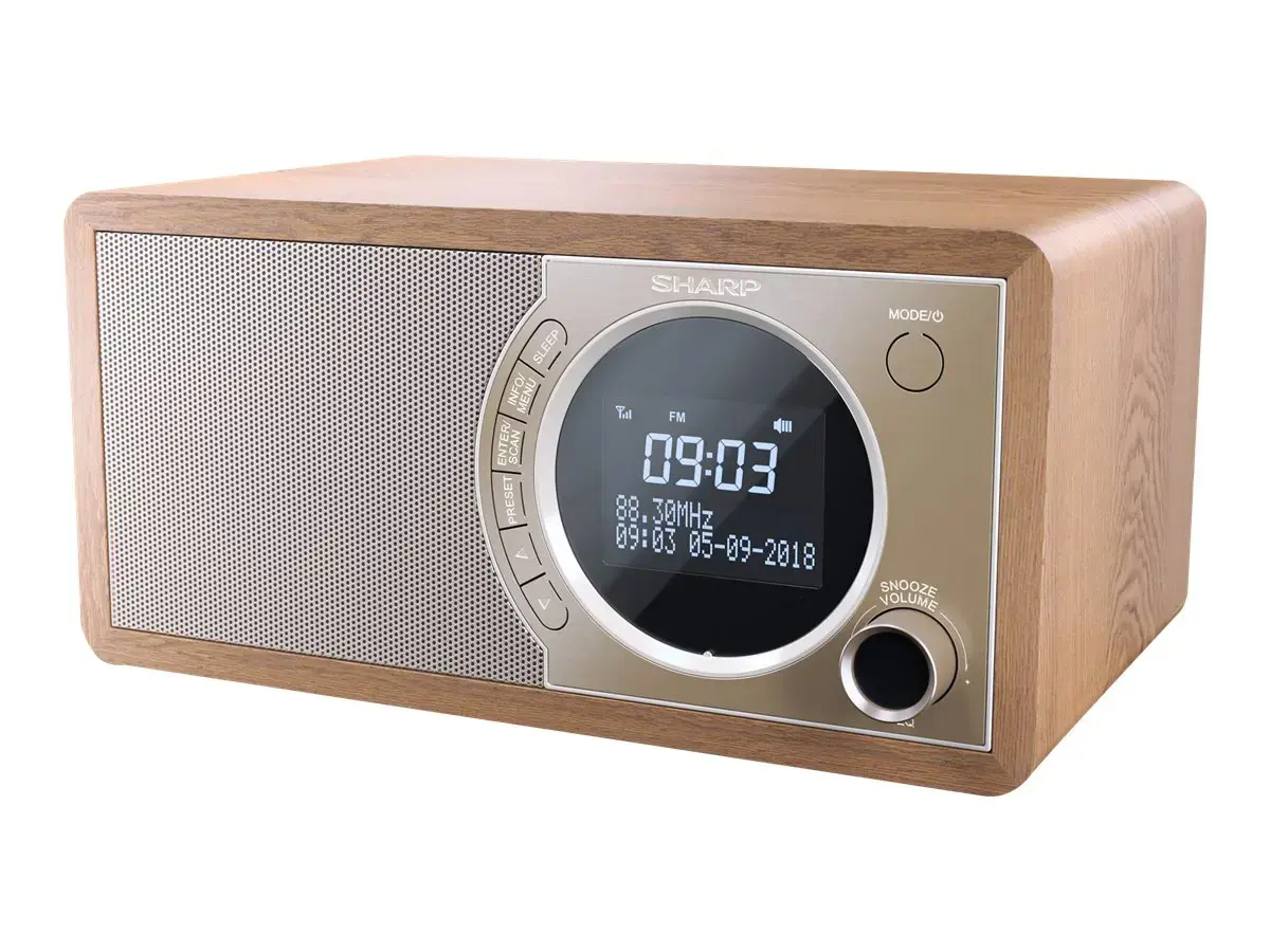 Sharp DR-450, asmeninis, skaitmeninis, DAB, DAB+, FM, 87,5 - 108 MHz, 174,928 - 239,2 MHz, 3 W
