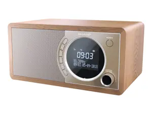 Sharp DR-450, asmeninis, skaitmeninis, DAB, DAB+, FM, 87,5 - 108 MHz, 174,928 - 239,2 MHz, 3 W