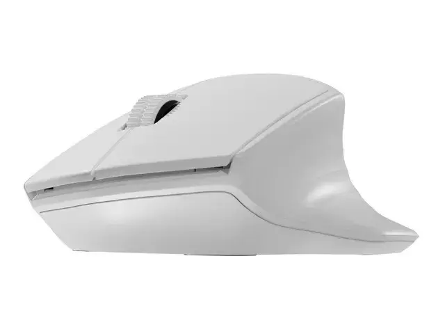 NATEC belaidė pelė Siskin 2 1600DPI Bluetooth 5.0 + 2.4Ghz balta