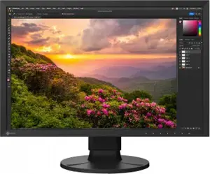 EIZO COLOREDGE CS2400S 24.1" WUXGA IPS 16:10/DP/HDMI/USB-C(70W)
