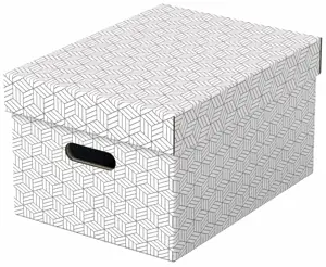 Daiktadėžė ESSELTE, su dangteliu, 265x205x365 balta-pilka (3vnt./pak.)