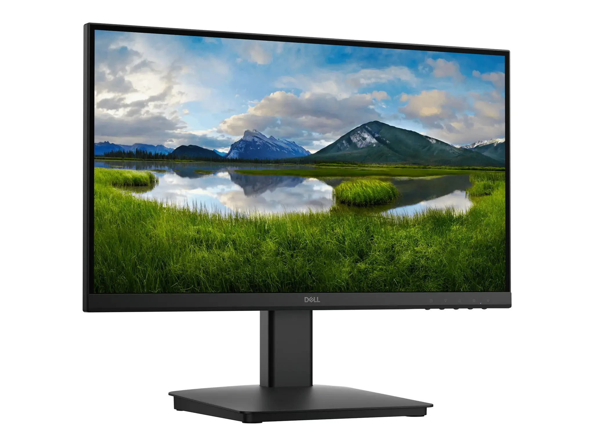 Dell 22 Monitor - SE2225HM