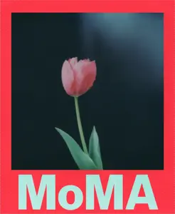 Polaroid i-Type Color MoMa Edition