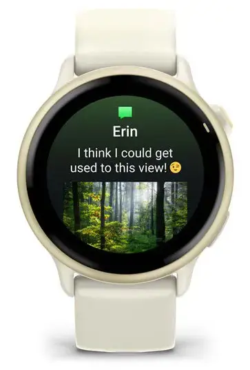 SMARTWATCH VIVOACTIVE 6/LUNAR GOLD 010-02985-01 GARMIN