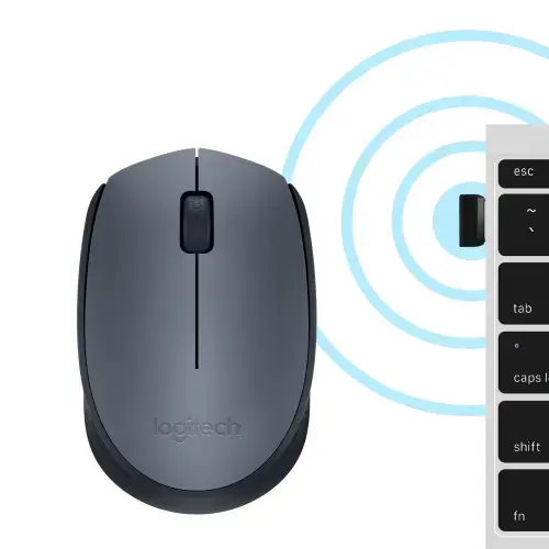 LOGITECH M170 belaidė pelė pilkos spalvos