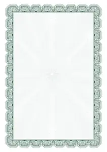 Dipl.popierius 170g Arnika