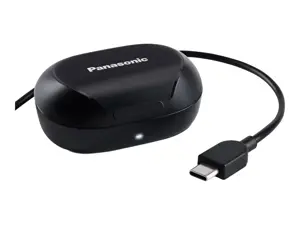 Panasonic wireless earbuds RZ-B120WDE-K, black