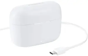 Panasonic wireless earbuds RZ-B110WDE-W, white