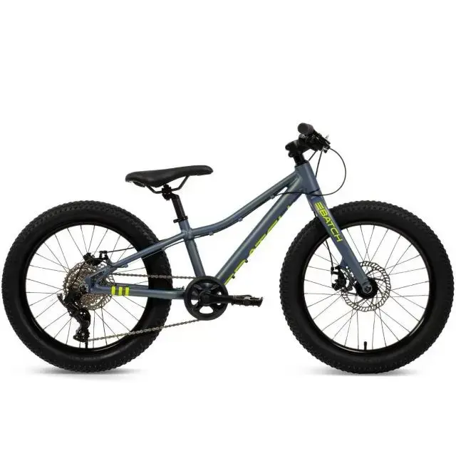 Huffy MTB Batch Alu 20” bike, chameleo (B374455W)