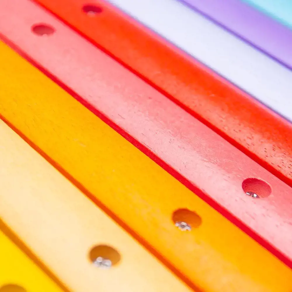 Bigjigs medinis muzikos instrumentas Ksilofonas