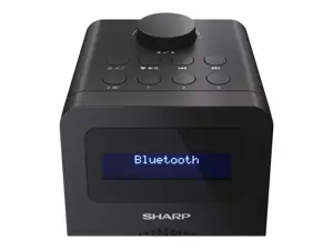 Sharp DR-430, asmeninis, skaitmeninis, DAB, DAB+, FM, 5 W, AAC, LCD