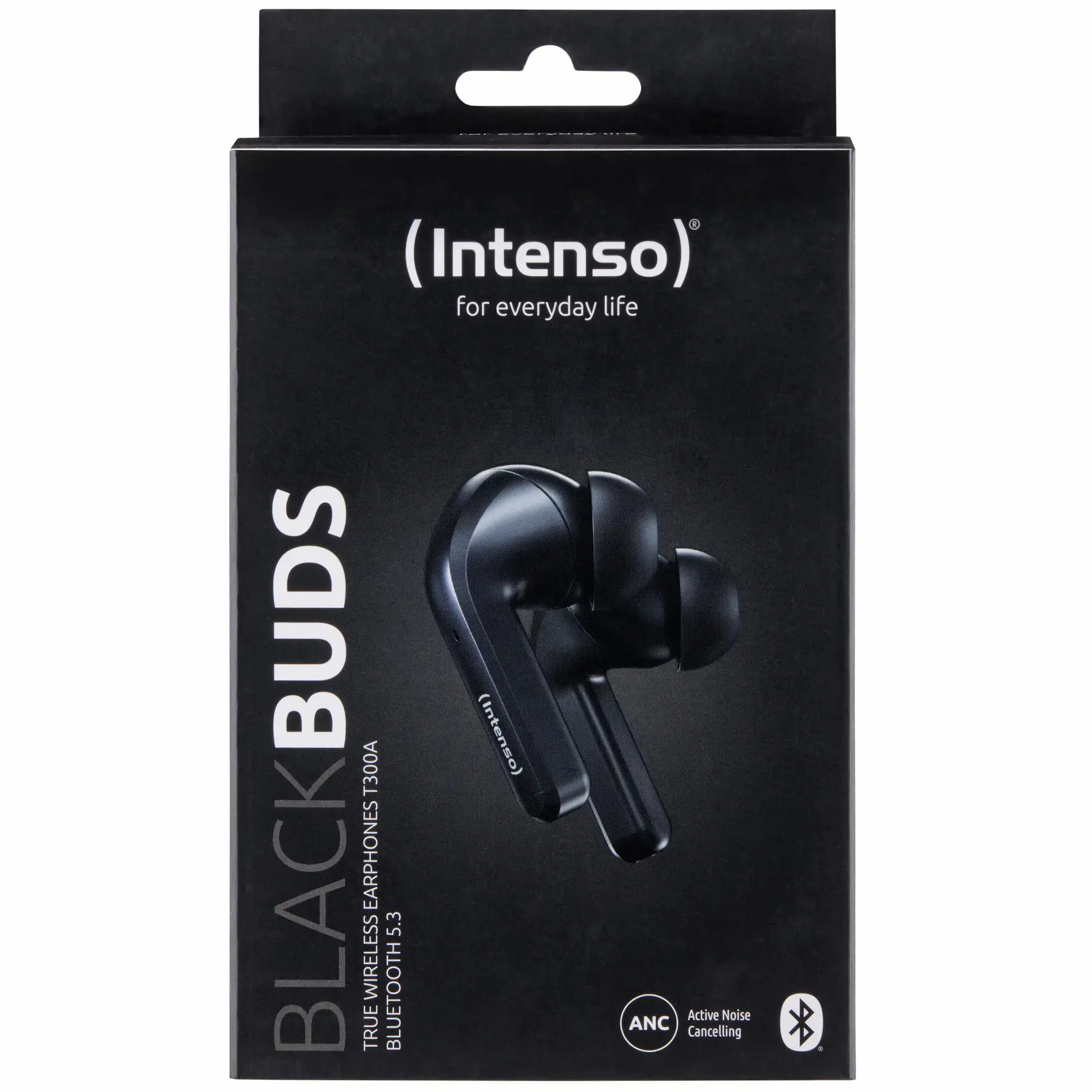 AUSINĖS T302A/BALTOS 3720300 INTENSO