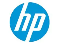 HP 2 metų Fsm Work Expert Service/User E-LTU