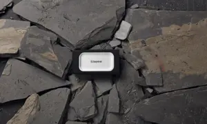 SSD diskas KINGSTON SXS2000/4000G 4 TB