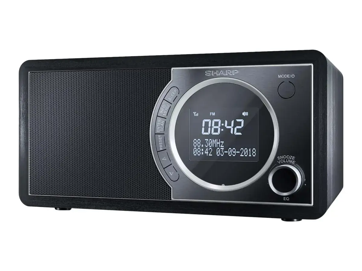 Sharp DR-450, asmeninis, skaitmeninis, DAB, DAB+, FM, 87,5 - 108 MHz, 174,928 - 239,2 MHz, 3 W