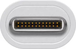 "Goobay" USB-C 3.1 kartos 1 laidas 67194 USB-C vyriškas, USB-C vyriškas, 1 m