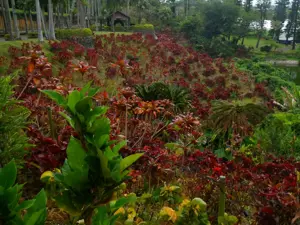 Pentax WG-1000, green