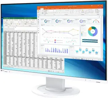 EIZO FLEXSCAN EV2410R 24.1" WUXGA IPS 16:10/DP/DVI-D/HDMI/VGA/5Y WT