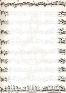 Dipl.popierius 170g Nuty