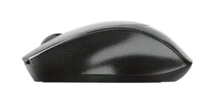 "Trust Zaya", dvipusis, optinis, RF belaidis, 1600 DPI, juodas, pilkas