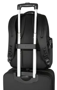 Targus TBB618GL, 40,6 cm (16"), nešiojamojo kompiuterio skyrius