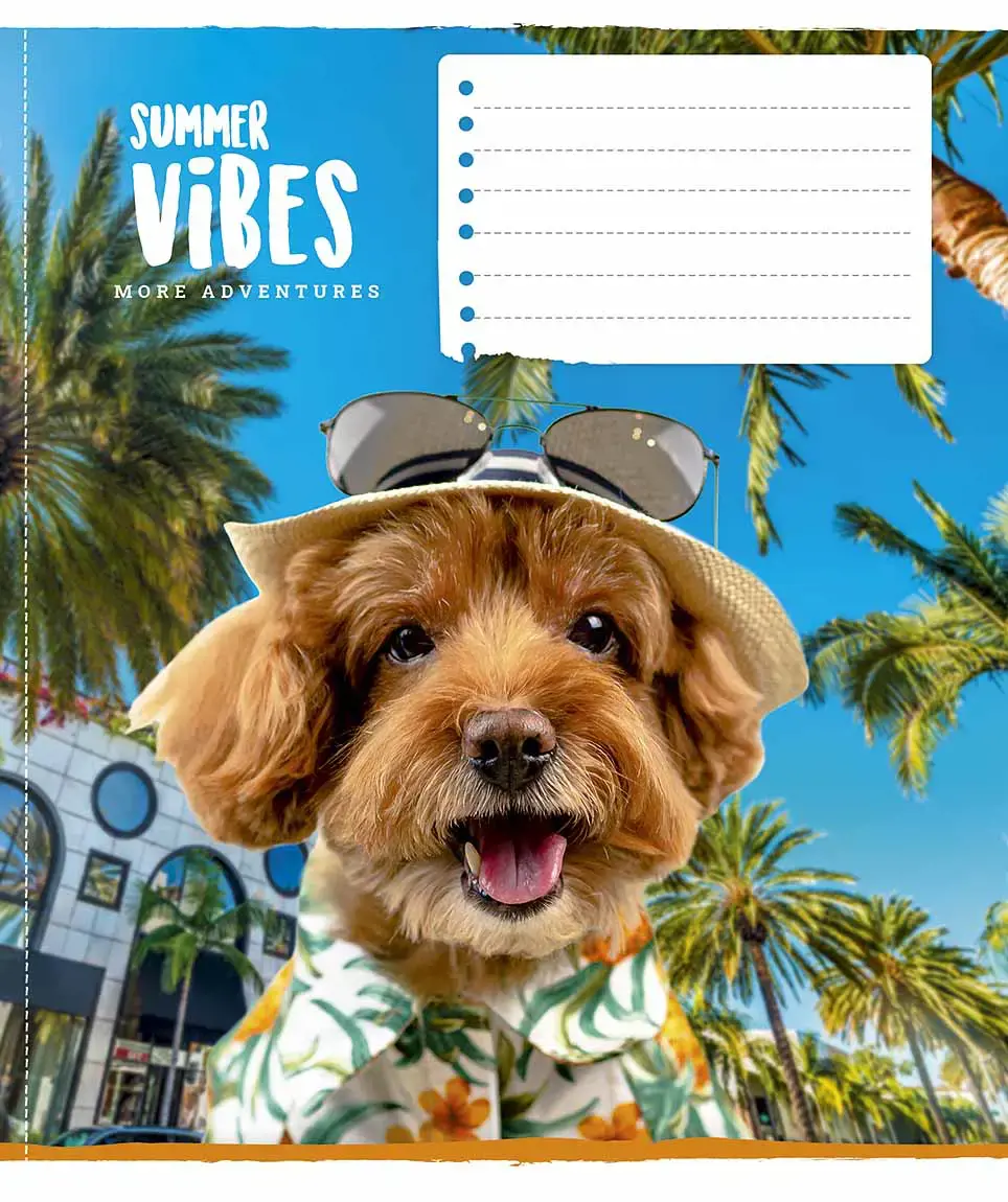 Sąsiuvinis Schoolboy, 12 lapų, 60 gsm, langeliais