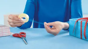 Skaidri lipni juostelė TESA Standard, 19mm x 33m