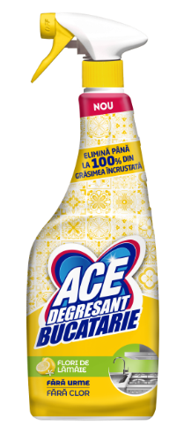 Virtuvės valiklis ACE, 650 ml