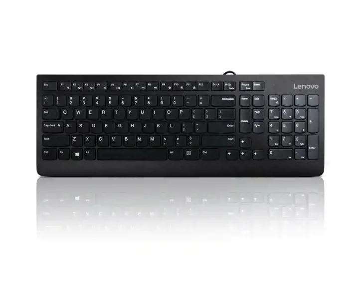 Lenovo 300, Full-size (100%), Wired, USB, QWERTY, Black, Mouse included