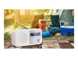 "Sharp DR-P420", nešiojamasis, skaitmeninis, DAB, DAB+, FM, automatinis nuskaitymas, automatinis derinimas, 2 W, AAC