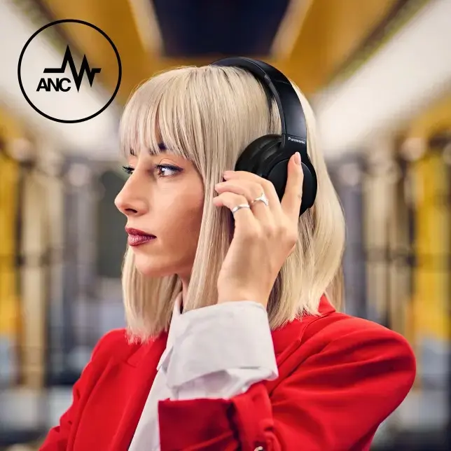 Panasonic wireless headset RB-HX330BDEK, black