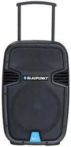BLAUPUNKT Profesional System Audio PA12