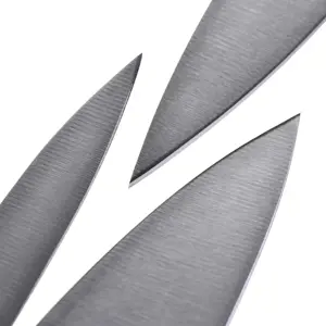ZWILLING Gourmet 2 peilių rinkinys 36130-005-0