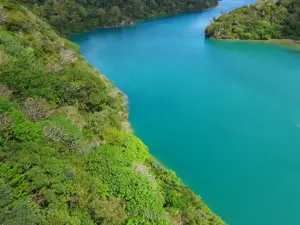 Pentax WG-1000, green