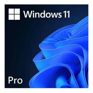MS ESD Windows Professional 11 64 bitų Visos kalbos Online Produkto raktas Licencija 1 licencija At…