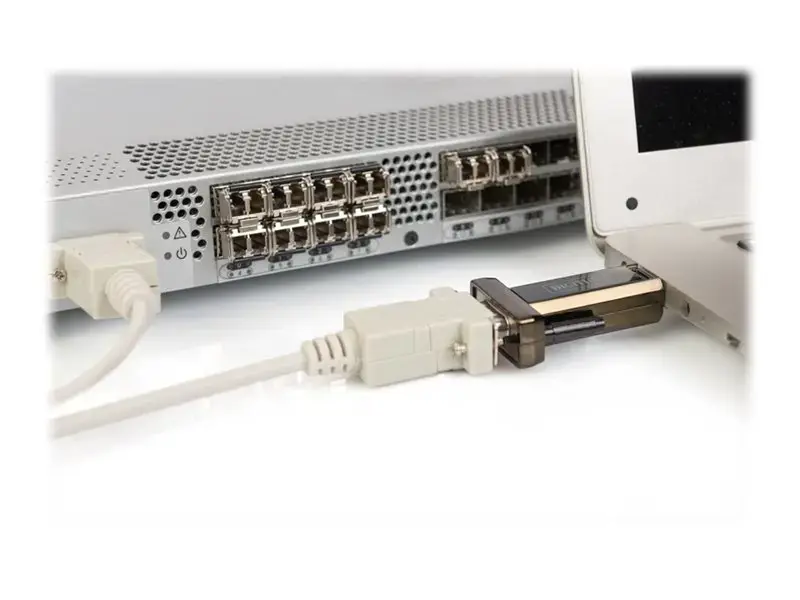 DIGITUS USB2.0 nuoseklusis adapteris