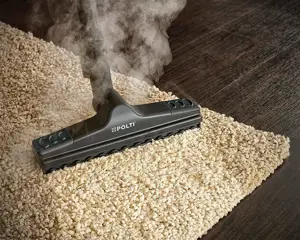 Polti Vaporetto Lecoaspira FAV30 dulkių siurblys, valantis karštais garais