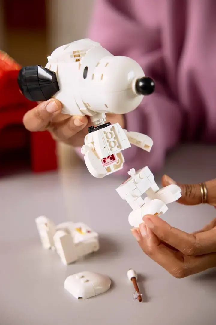 LEGO IDEAS 21368 Peanuts: Snoopy's Doghouse