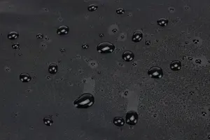 Thule | Duffel Bag, 30L | Chasm | Waterproof | Black