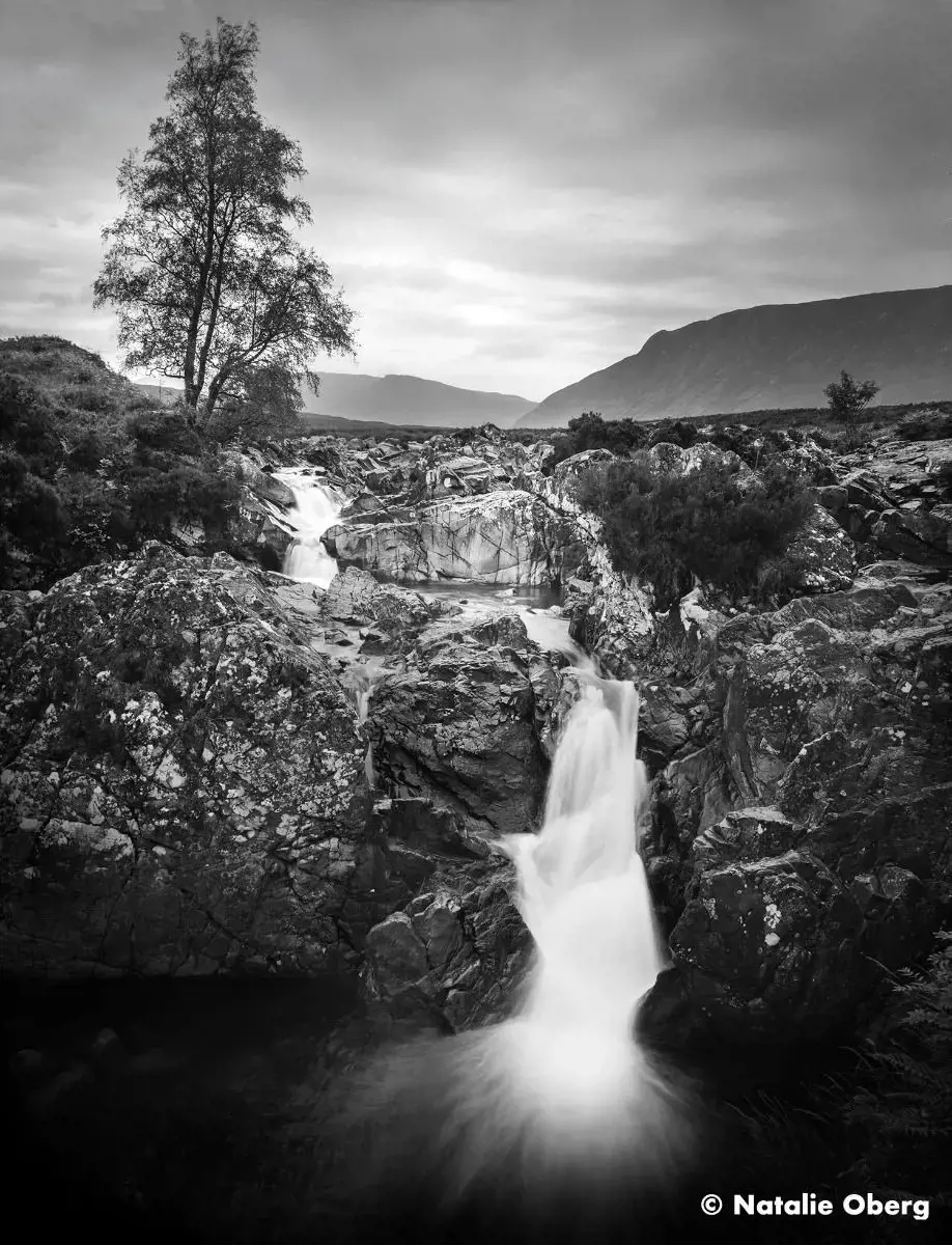 Ilford plėvelė Ortho Plus 120