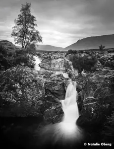 Ilford plėvelė Ortho Plus 120