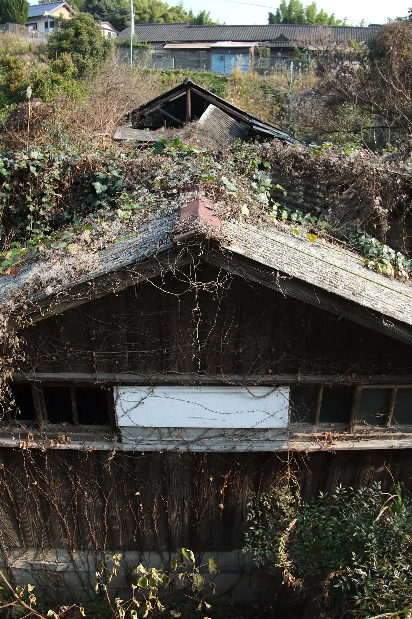 Fujinon XF 18mm f/2 R